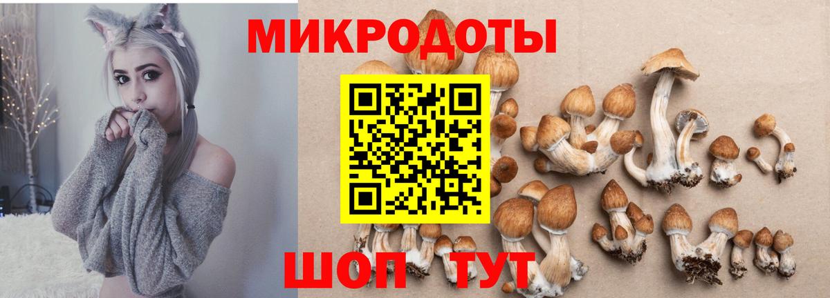 Назарово  Галлюциногенные грибы Psilocybe  Галлюциногенные грибы Psilocybine cubensis  цена наркотик  Вход с VPN 